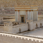 WhatsApp Image 2024-07-30 at 12.35.15 (1)